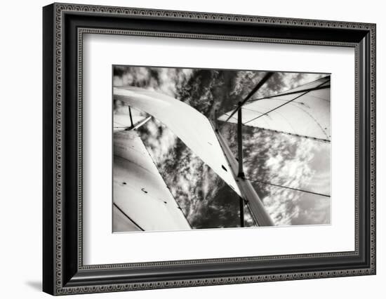The Woodwind II-Alan Hausenflock-Framed Photographic Print