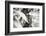 The Woodwind II-Alan Hausenflock-Framed Photographic Print