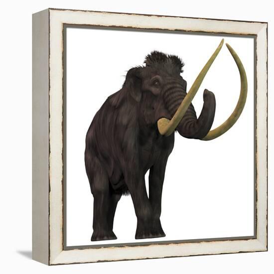 The Woolly Mammoth-null-Framed Stretched Canvas