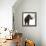 The Woolly Mammoth-null-Framed Stretched Canvas displayed on a wall