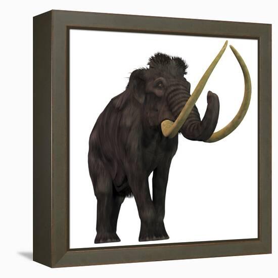 The Woolly Mammoth-null-Framed Stretched Canvas