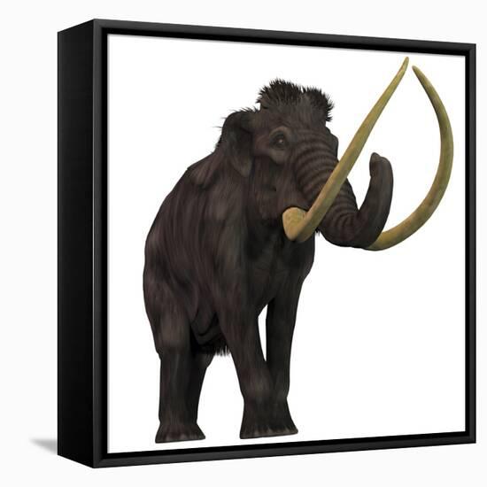 The Woolly Mammoth-null-Framed Stretched Canvas