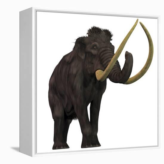 The Woolly Mammoth-null-Framed Stretched Canvas