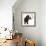 The Woolly Mammoth-null-Framed Art Print displayed on a wall