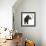 The Woolly Mammoth-null-Framed Art Print displayed on a wall