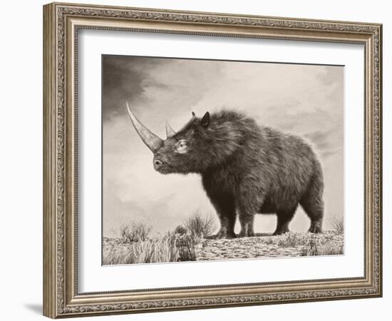 The Woolly Rhinoceros Is an Extinct Species from the Pleistocene Epoch-null-Framed Art Print