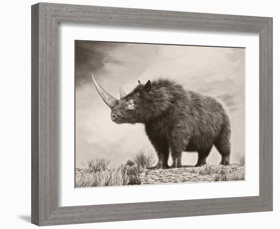 The Woolly Rhinoceros Is an Extinct Species from the Pleistocene Epoch-null-Framed Art Print