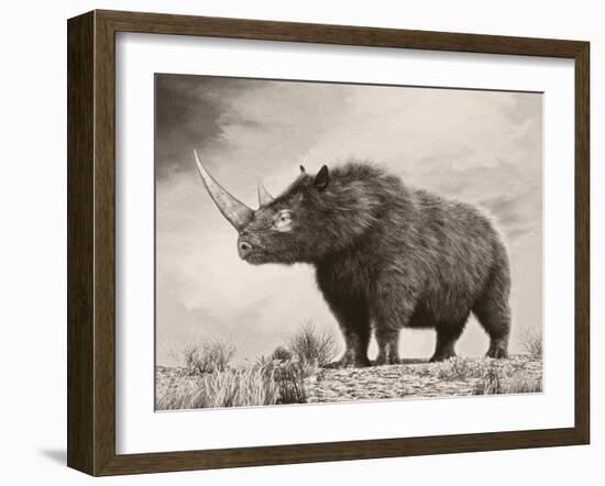 The Woolly Rhinoceros Is an Extinct Species from the Pleistocene Epoch-null-Framed Art Print