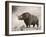 The Woolly Rhinoceros Is an Extinct Species from the Pleistocene Epoch-null-Framed Art Print