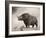 The Woolly Rhinoceros Is an Extinct Species from the Pleistocene Epoch-null-Framed Art Print