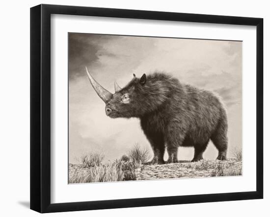 The Woolly Rhinoceros Is an Extinct Species from the Pleistocene Epoch-null-Framed Art Print