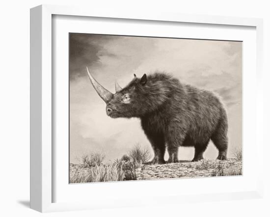 The Woolly Rhinoceros Is an Extinct Species from the Pleistocene Epoch-null-Framed Art Print