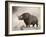 The Woolly Rhinoceros Is an Extinct Species from the Pleistocene Epoch-null-Framed Art Print