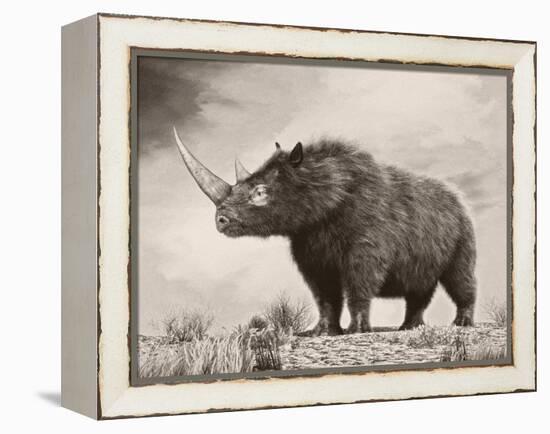 The Woolly Rhinoceros Is an Extinct Species from the Pleistocene Epoch-null-Framed Stretched Canvas