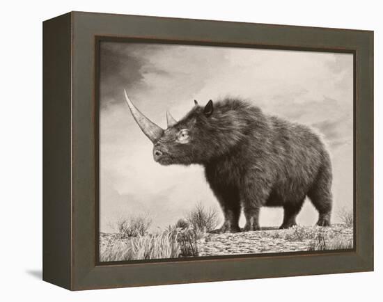 The Woolly Rhinoceros Is an Extinct Species from the Pleistocene Epoch-null-Framed Stretched Canvas