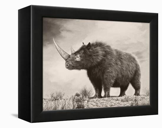 The Woolly Rhinoceros Is an Extinct Species from the Pleistocene Epoch-null-Framed Stretched Canvas