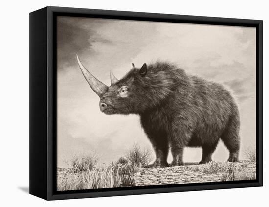 The Woolly Rhinoceros Is an Extinct Species from the Pleistocene Epoch-null-Framed Stretched Canvas