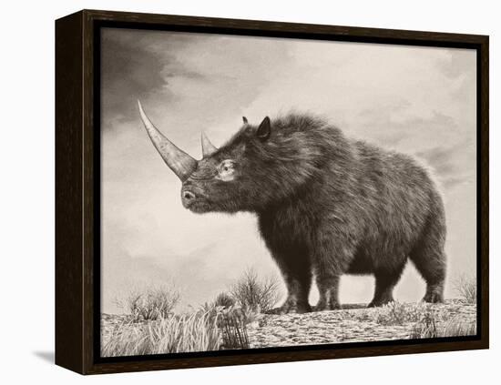 The Woolly Rhinoceros Is an Extinct Species from the Pleistocene Epoch-null-Framed Stretched Canvas