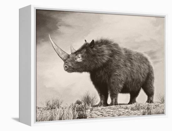 The Woolly Rhinoceros Is an Extinct Species from the Pleistocene Epoch-null-Framed Stretched Canvas