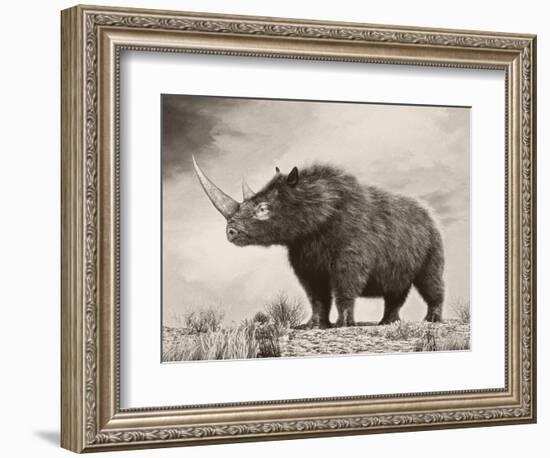 The Woolly Rhinoceros Is an Extinct Species from the Pleistocene Epoch-null-Framed Art Print