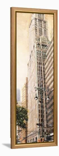 The Woolworth Building-Matthew Daniels-Framed Stretched Canvas