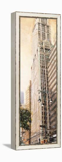 The Woolworth Building-Matthew Daniels-Framed Stretched Canvas