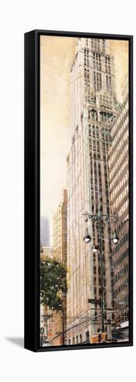 The Woolworth Building-Matthew Daniels-Framed Stretched Canvas