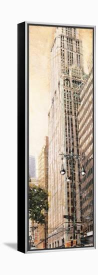 The Woolworth Building-Matthew Daniels-Framed Stretched Canvas