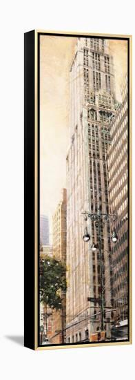 The Woolworth Building-Matthew Daniels-Framed Stretched Canvas