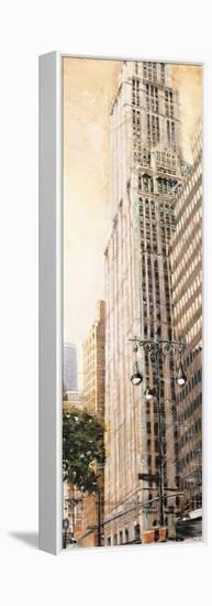 The Woolworth Building-Matthew Daniels-Framed Stretched Canvas