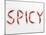 The Word 'SPICY' Written in Red Chillies-Peter Rees-Mounted Photographic Print
