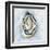 The World is Your Oyster I-Yvette St. Amant-Framed Art Print