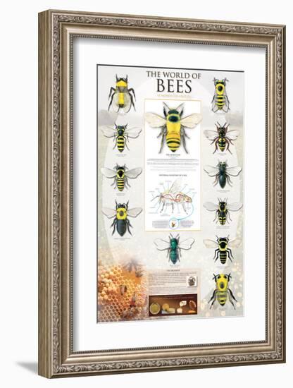 The World Of Bees-null-Framed Premium Giclee Print