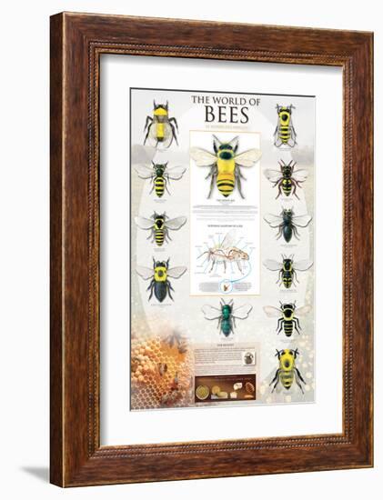 The World Of Bees-null-Framed Premium Giclee Print