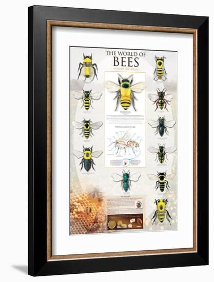 The World Of Bees-null-Framed Premium Giclee Print