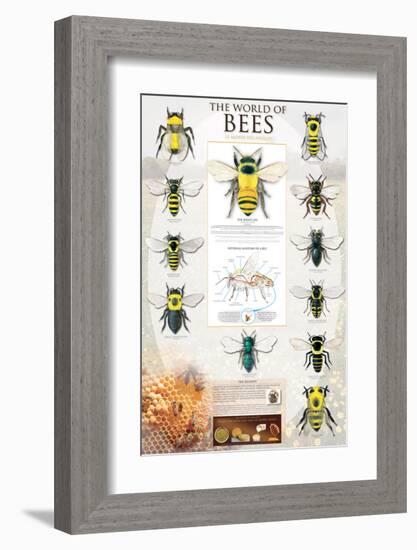 The World Of Bees-null-Framed Premium Giclee Print