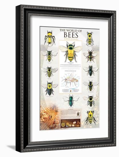 The World Of Bees-null-Framed Premium Giclee Print