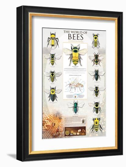 The World Of Bees-null-Framed Premium Giclee Print