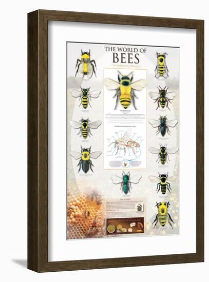 The World Of Bees-null-Framed Premium Giclee Print