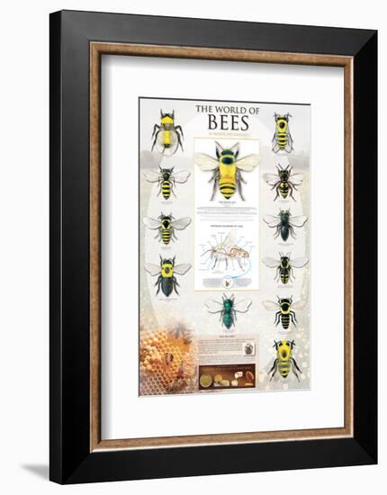 The World Of Bees-null-Framed Art Print