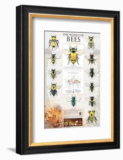 The World Of Bees-null-Framed Art Print