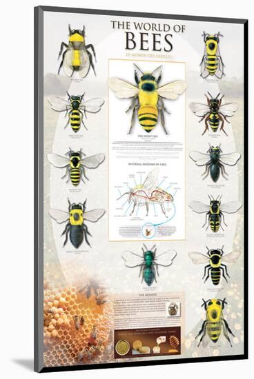 The World Of Bees-null-Mounted Art Print