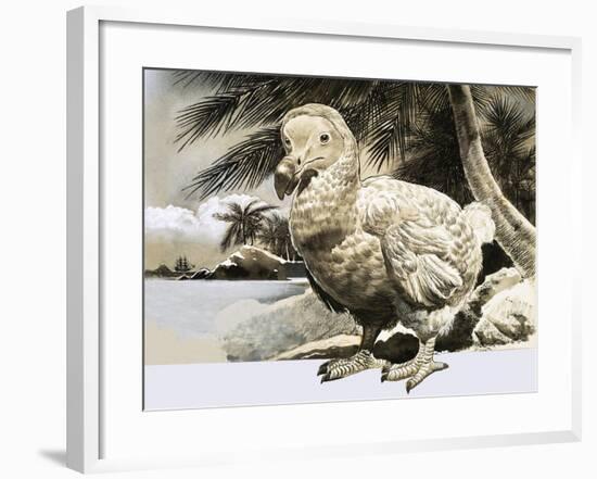 The World of Nature: The Mystery Bird from Mauritius-null-Framed Giclee Print