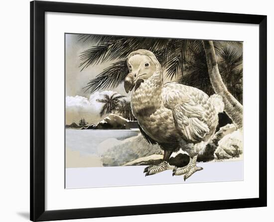 The World of Nature: The Mystery Bird from Mauritius-null-Framed Giclee Print