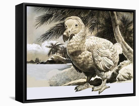 The World of Nature: The Mystery Bird from Mauritius-null-Framed Premier Image Canvas