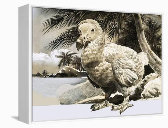 The World of Nature: The Mystery Bird from Mauritius-null-Framed Premier Image Canvas