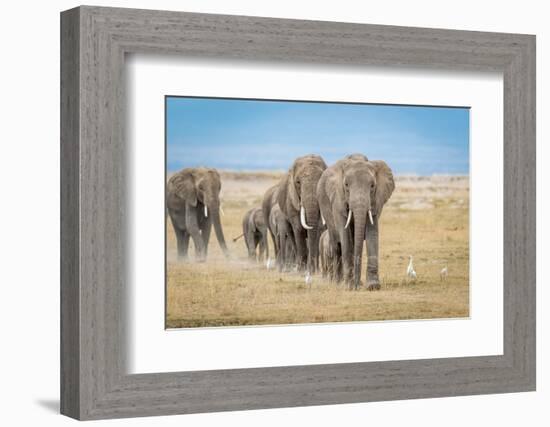 The World's Greatest Parade-Jeffrey C. Sink-Framed Photographic Print