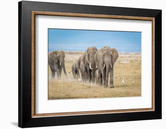 The World's Greatest Parade-Jeffrey C. Sink-Framed Photographic Print