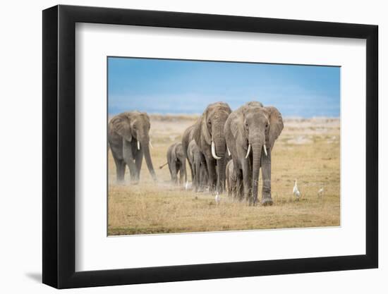 The World's Greatest Parade-Jeffrey C. Sink-Framed Photographic Print