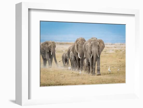 The World's Greatest Parade-Jeffrey C. Sink-Framed Photographic Print